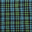 Ancient Campbell Tartan